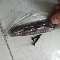 دستگیره در یک طرف چپ باز شو|لوازم سرویس بهداشتی|قائم‌شهر, |دیوار