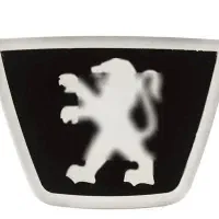 ۲۰۶ فرانسوی