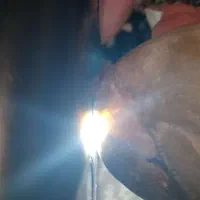 فسیل|کلکسیون اشیاء عتیقه|همدان, |دیوار