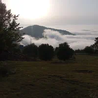 جنگل ابر با ماشین آفرود