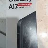 A17