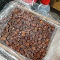 خرمای خاصویی درجه یک بدون شهد بصورت عمده|خوردنی و آشامیدنی|تهران, سلسبیل جنوبی|دیوار