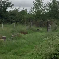 زمین ۲۵۰ متری باغی دور فنس|فروش زمین و ملک کلنگی|رشت, آب و برق|دیوار