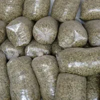 ذرت علوفه‌ای