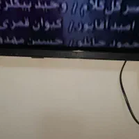 تلوزیون ال ادی ۴۳|تلویزیون و پروژکتور|تربت جام, کلالی|دیوار