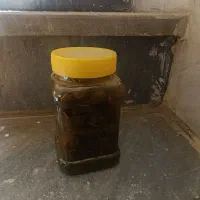 ترشیجات|خوردنی و آشامیدنی|میانه, |دیوار