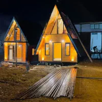 آلفا سوئیسی