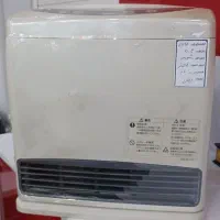 بخاری ژاپنی 2004