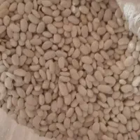 لوبیا سفید درجه ۱