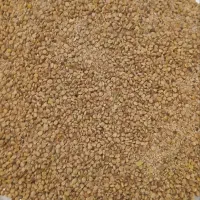 سماق دان خوب و پودر سماق قرمز با کیفیت|خوردنی و آشامیدنی|تهران, تصفیه خانه|دیوار