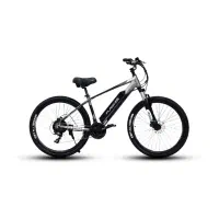 فروش ویژه دوچرخه برقی Flash