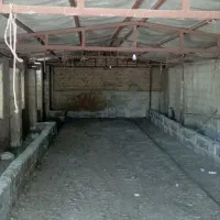 دامداری
