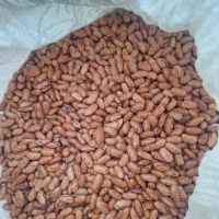 لوبیاچیتی|خوردنی و آشامیدنی|خورموج, |دیوار