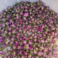 سلام غنچه گل محمدی یک کیلو