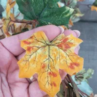 برگ پاییزی ریسه ای