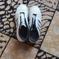 کتونی فوتبالی چمنی