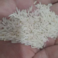دمسیاه محلی طارم|خوردنی و آشامیدنی|گالیکش, |دیوار