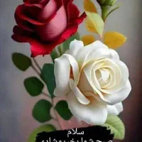 همکاری در مشاور املاک