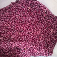 پخش انواحبوبات و مواد غذایی ( عمده و خرده )|خوردنی و آشامیدنی|تهران, صد دستگاه|دیوار