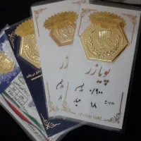 طلا سکه پارسیان