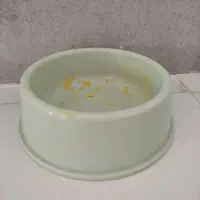 وسایل گربه