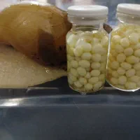 خاویار حلزون