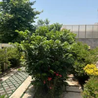 دوبلکس با روفگاردن و سندتکبرگ فقط ۲/۶۰۰ شما*ل|فروش خانه و ویلا|تهران, پاسداران|دیوار