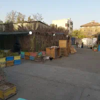 استخدام|استخدام خدمات فروشگاه و رستوران|تهران, عباس‌آباد|دیوار
