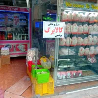 یخچال لوازم مرغ مروشی