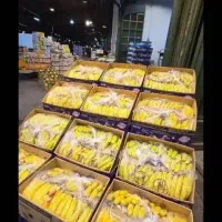 توزیع پخش میوه و تره بار  با کمترین قیمت