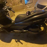 Pcx 2013|موتورسیکلت|بندر دیر, |دیوار