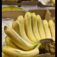 بخش عمده میوه تربار برای تمام ارگانها|خوردنی و آشامیدنی|تهران, میدان میوه و تره‌بار مرکزی|دیوار
