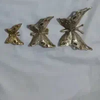 پروانه برنز و پرستوی برنز