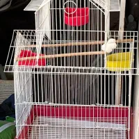 قفس پرنده بزرگ