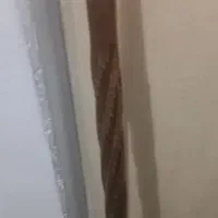 عصا
