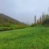 کارگر چوپان تهران