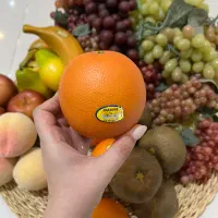 میوه تزئینی|صنایع دستی و سایر لوازم تزئینی|گرگان, |دیوار