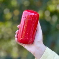 فلاکس چای اسکای