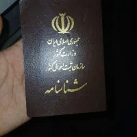پیداکردم شناسنامه