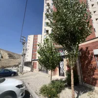 پردیس فاز ۲ برج کیان ۱۱۰متر دو خواب رهن کامل|اجارهٔ آپارتمان|پردیس, فاز ۲|دیوار