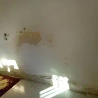 نقاش و رنگکار