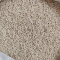 برنج فجر اقتصادی و برنج فجر ممسنی