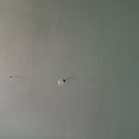 به یک شاگرد خوب برای