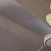 پنکه ژاپنی اصلی