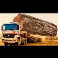 چوب بر هستم و خریدار چوب درخت