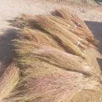 جارو نرم دسته ۳۵|لوازم نظافت|نورآباد, |دیوار