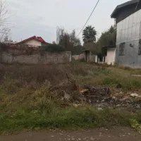 زمین سندار شهرکی منطقه ازاد انزلی