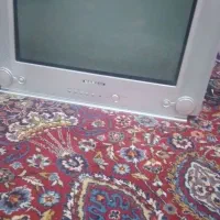 تلوزیون|تلویزیون و پروژکتور|همدان, |دیوار