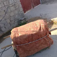 پالون مینابی