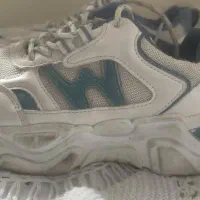 کفش کتونی زنانه|کیف، کفش، کمربند|گنبد کاووس, |دیوار